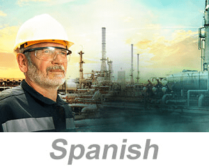 Process Safety Management: Process Hazard Analysis (US) (Spanish)