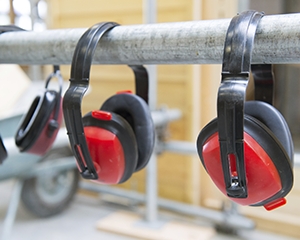 Hearing Conservation (US)