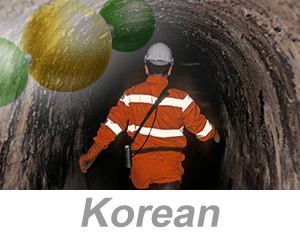 Hydrogen Sulfide (H2S) Awareness (Korean)