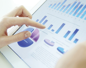 Reporting (Data Entry)