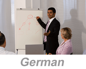 Integrated Systems - Achieving Organizational Excellence (German)