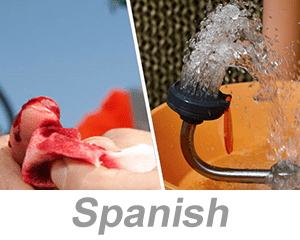 Bloodborne Pathogens Awareness (Spanish)