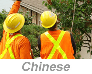 Pre-Job Briefings (Chinese)