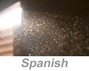 Combustible Dust (Spanish)